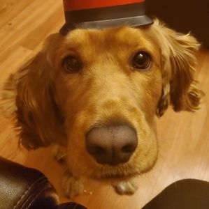 Meet your Posher, Diego